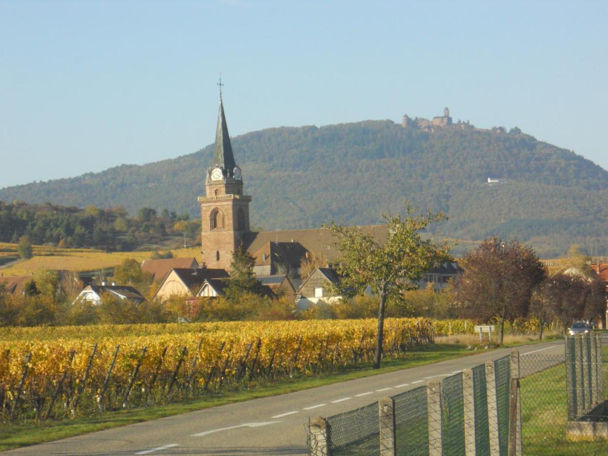 Ferienwohnung Le Winzer Bergheim Exterior foto